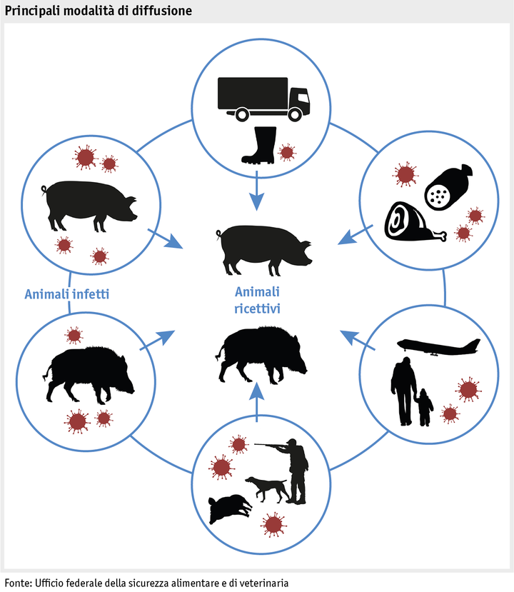 Zoom: ab18_datentabelle_grafik_produktion_produktionssicherheit_schweinepest_i.png