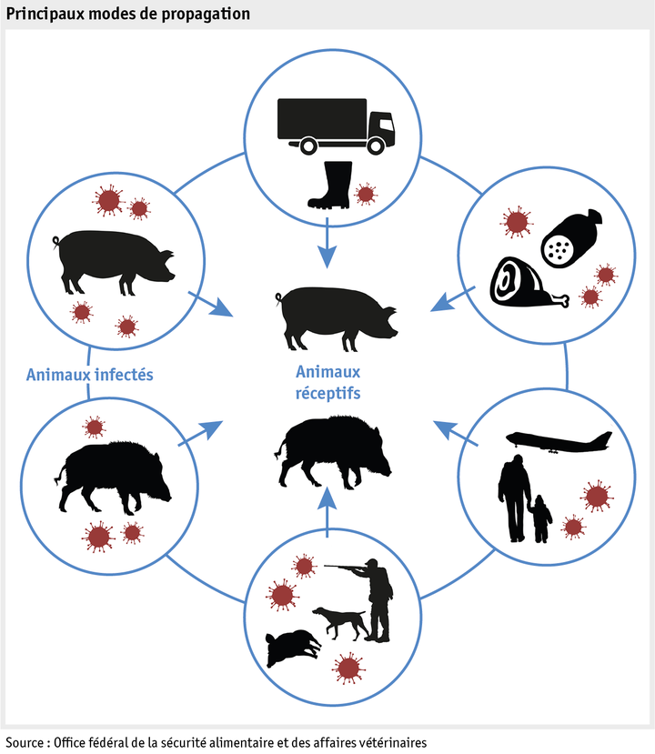 Zoom: ab18_datentabelle_grafik_produktion_produktionssicherheit_schweinepest_f.png