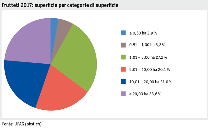 Zoom: ab18_produktion_pflanzli_produktion_grafik_obstanlagen_flaeche_flaechenkat_2017_i.png