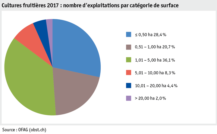 Zoom: ab18_produktion_pflanzli_produktion_grafik_obstanlagen_betriebe_flaechenkat_2017_f.png