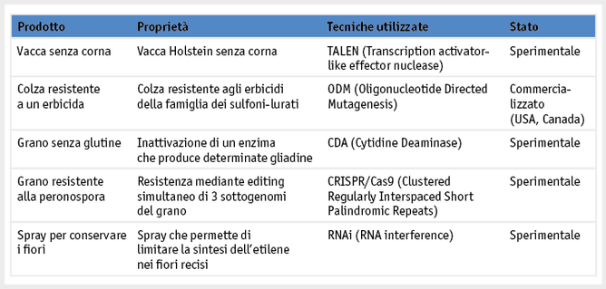 Zoom: ab18_grafik_pflanz_prod_neue_biotechnologien_i.png