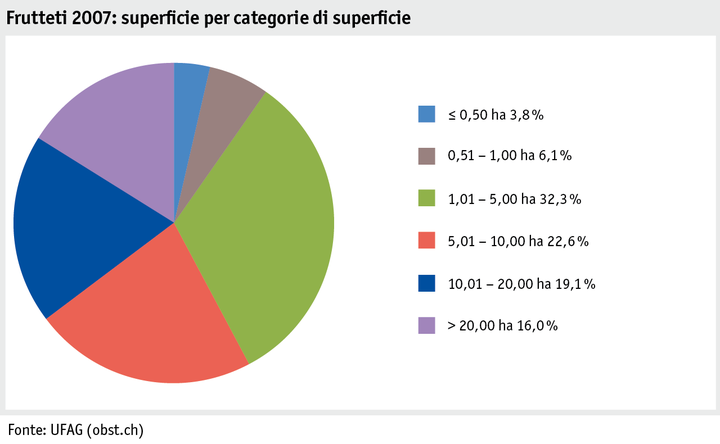 Zoom: ab18_produktion_pflanzli_produktion_grafik_obstanlagen_flaeche_flaechenkat_2007_i.png