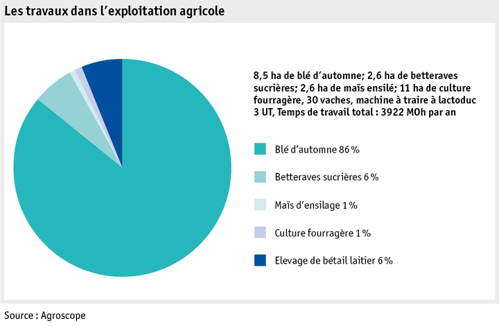 Zoom: ab18_datentabelle_grafik_mensch_bauernfamilie_labour_scope_2_f.png